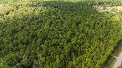 130 Tygerpaw Trail, Saint Stephen, SC 29479 - photo 6