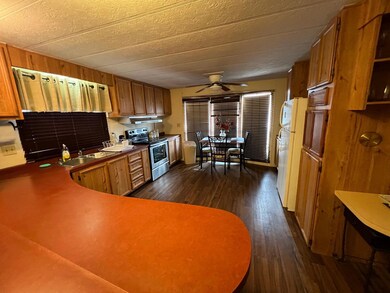 4705 Fox Hollow Rd unit 56, Graham, TX 76450 - photo 6