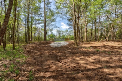 0 Skull Shoals Rd unit 23220093, Washington, GA 30673 - photo 6