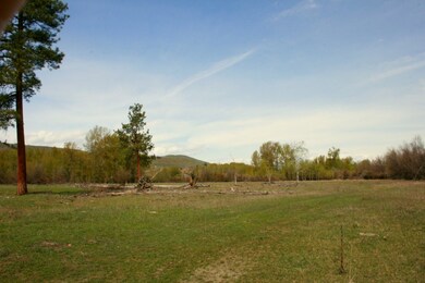 0 Twisp-Winthrop Eastside Rd unit 769143, Twisp, WA 98856 - photo 2