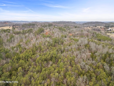 3940 Allegheny Loop Rd, Maryville, TN 37803 - photo 3