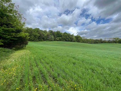 TBD Land Grant Rd, Mount Jackson, VA 22842 - photo 3