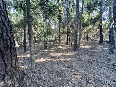 00 Mcdaniel Dr, Magnolia, TX 77354 - photo 4