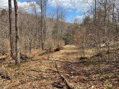 trail to second clearing