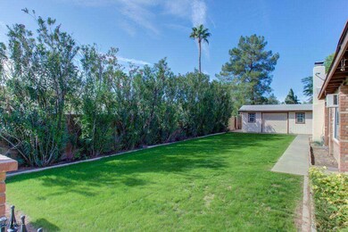 Lush grass