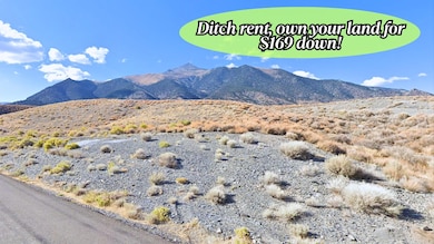 7 Ruthe Ct, Austin, NV 89310 - photo 2