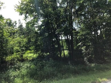 18.89 Ac. Brewer Rd, Louisburg, NC 27549 - photo 3