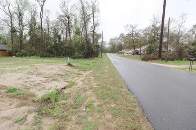 Lot 17 & 18 Spokan St, Crawfordville, FL 32327 - photo 3