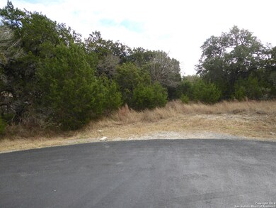 27010 Shady Run, Fair Oaks, TX 78006 - photo 3