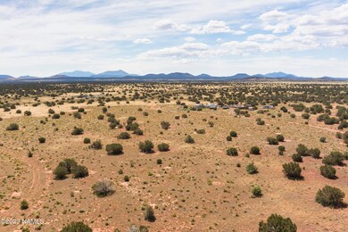 3622 Palmdale Rd, Williams, AZ 86046 - photo 2