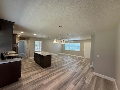 4 Lakeside Dr, Hazlehurst, GA 31539 - photo 6