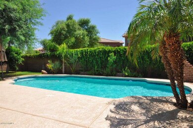Pool-Backyard