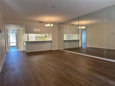 Living Room / Kitchen