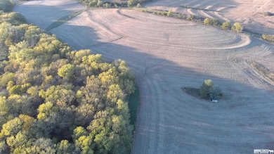 No Situs 80 Ac 612th Ave, Sterling, NE 68443 - photo 4