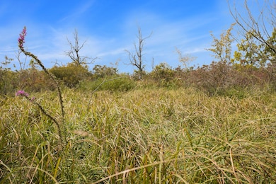 0 Marl Lake Rd, Athens Township, MI 49011 - photo 5