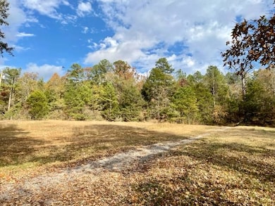 11461 Attala Road 4101, Sallis, MS 39160 - photo 3