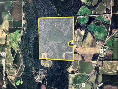 923 Lakeview Rd (159+-Ac), Slocomb, AL 36375 - photo 6