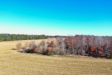 Tbd Flamingo St, Isanti, MN 55040 - photo 4