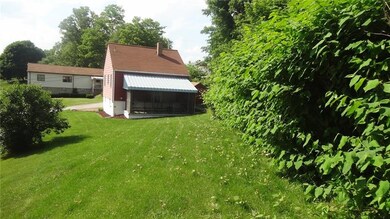 Nice level yard