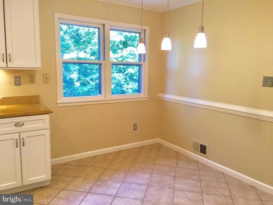 1003 Dead Run Dr, McLean, VA 22101 - photo 4