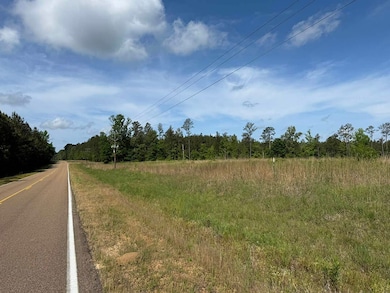 1331 Coal Bluff Rd, Lena, MS 39094 - photo 2