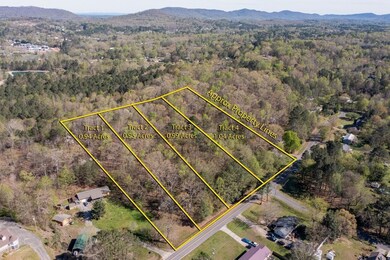 3 Old Cottonwood Mill Rd, Tunnel Hill, GA 30755 - photo 4