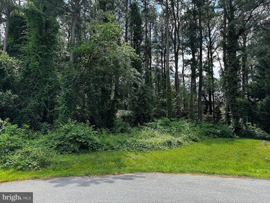 Lot 29 Rowland Way, Georgetown, DE 19947 - photo 2