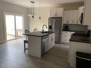 703 N Main Ave, Erwin, TN 37650 - photo 3