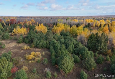 TBDC20 Firesteel Rd, Ontonagon, MI 49953 - photo 5