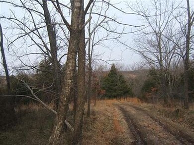 0 State Highway 248 unit 11101535, Jenkins, MO 65605 - photo 3