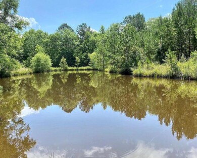 Chubbahatchee Circle 4
