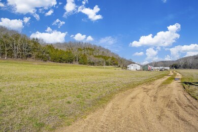 6-web-or-mls-DSC07759