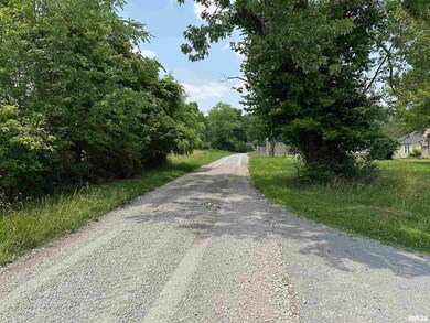 301 N Chestnut St, Christopher, IL 62822 - photo 5