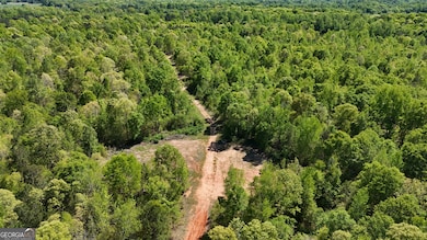 0 Us 53 Hwy unit 10376334, Bogart, GA 30622 - photo 3