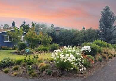 3_frontyard