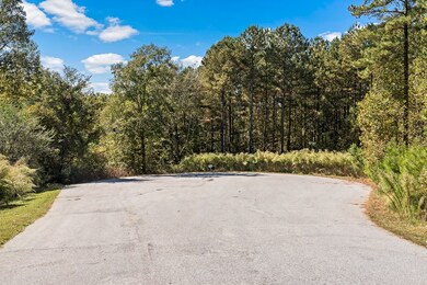 Lot 137 Charter's Trail, West Union, SC 29696 - photo 6