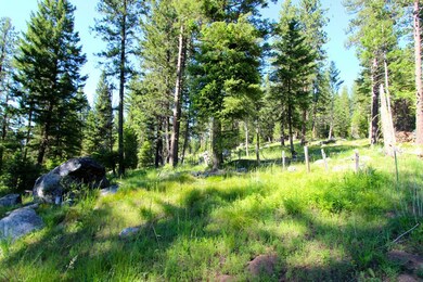 View to the NE