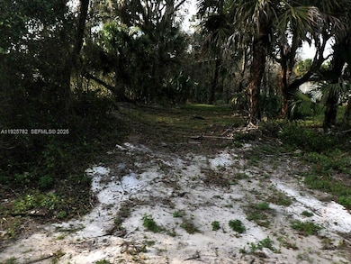 LOT 23 Dragon St, North Port, FL 34288 - photo 2