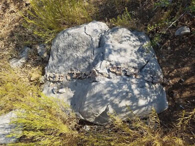 Boulder on lot