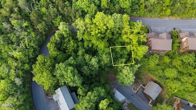 3 Lots Alpine Mountain Way, Pigeon Forge, TN 37863 - photo 5