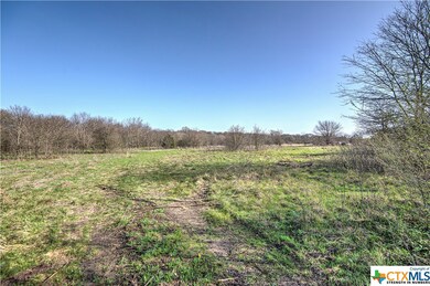 TBD Goates Rd, Other, TX 76579 - photo 6