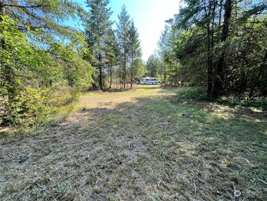 241 Bremgartner Rd, Winlock, WA 98596 - photo 5