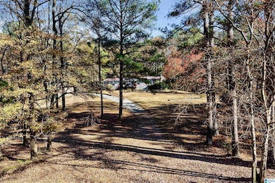 12734 Pheasant Dr, McCalla, AL 35111 - photo 4