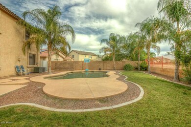 Backyard 4