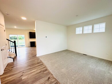 11115 Michigan Place, Crown Point, IN 46307 - photo 2