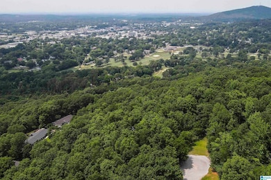 0 Rebecca Trail unit 6.07 ac 21420735, Anniston, AL 36207 - photo 4