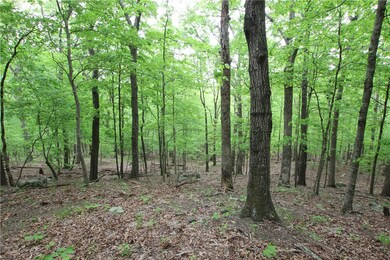 0 Madison 4230 unit 1218897, Crosses, AR 72727 - photo 5