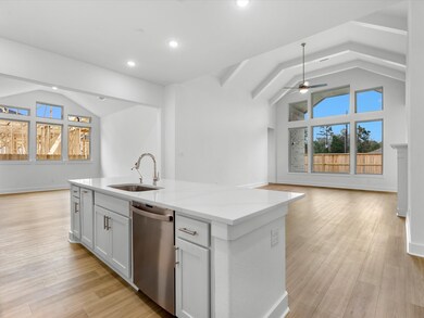 25014 Stella Falls Ln, Tomball, TX 77375 - photo 4