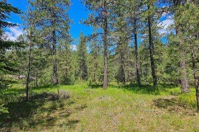LOT 22 Couples Ct, Chewelah, WA 99109 - photo 6