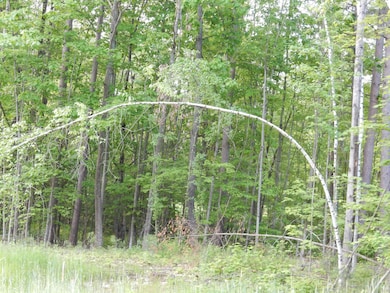 00 Pine St, Newport, VT 05855 - photo 3